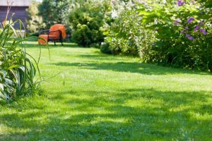 travaux jardin et paysage Alleves